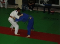 2011-mla_judo2_02